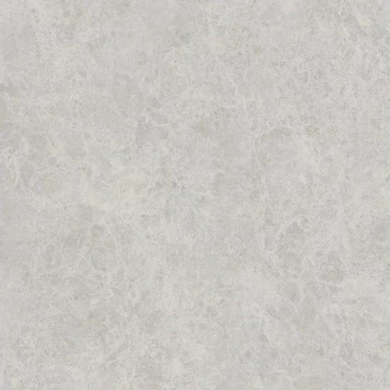 ERA DELICATE ASH 120X120_01
