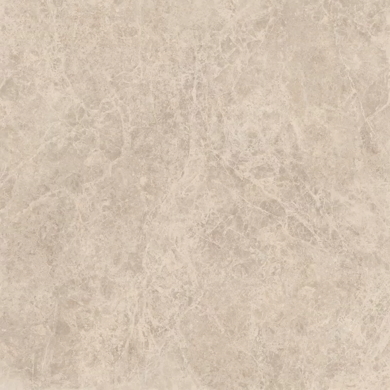 ERA DELICATE TAUPE 120X120_02