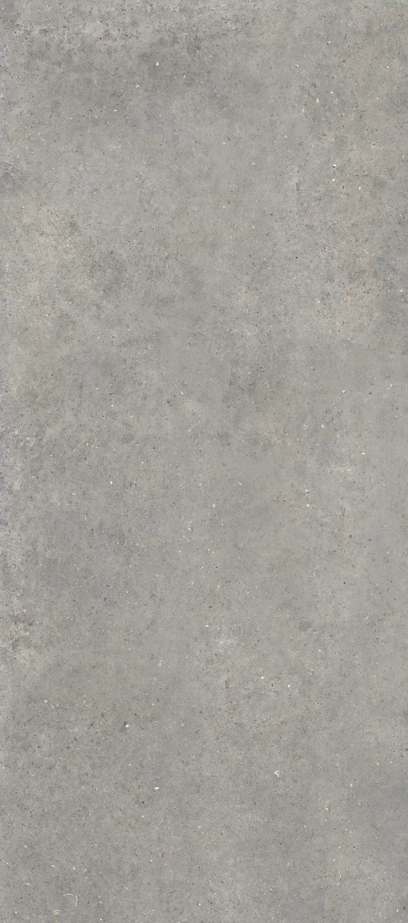 ANIMA GRIGIO 120X280_01