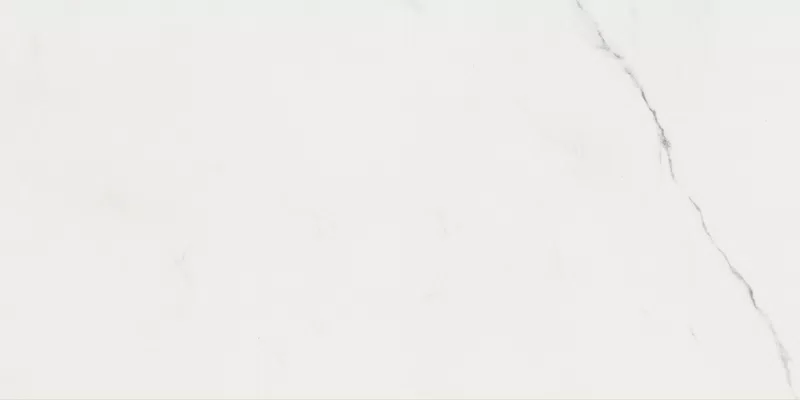SUPREME EVO PURE STATUARIO 60X120_16