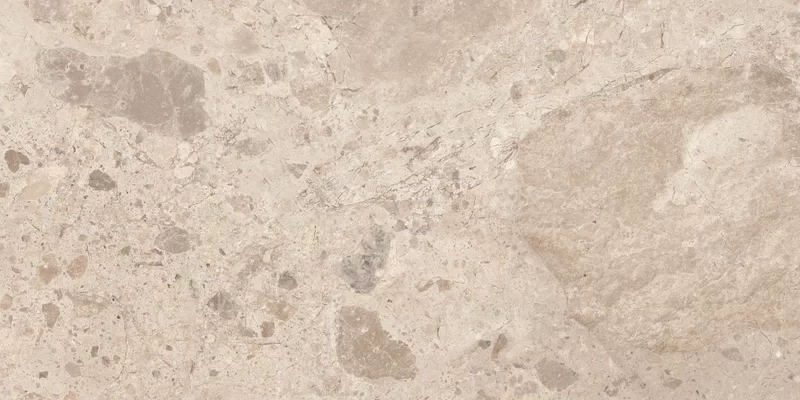 ERA BLOOMING TAUPE 60X120_18