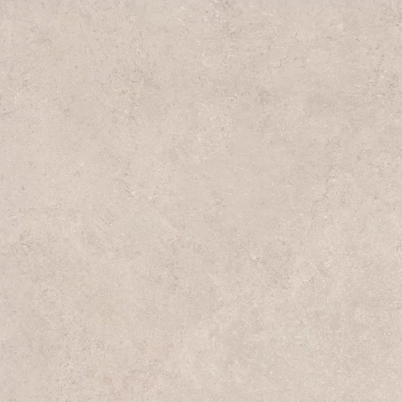 MIDI NATURE POUDRE 60x60_14