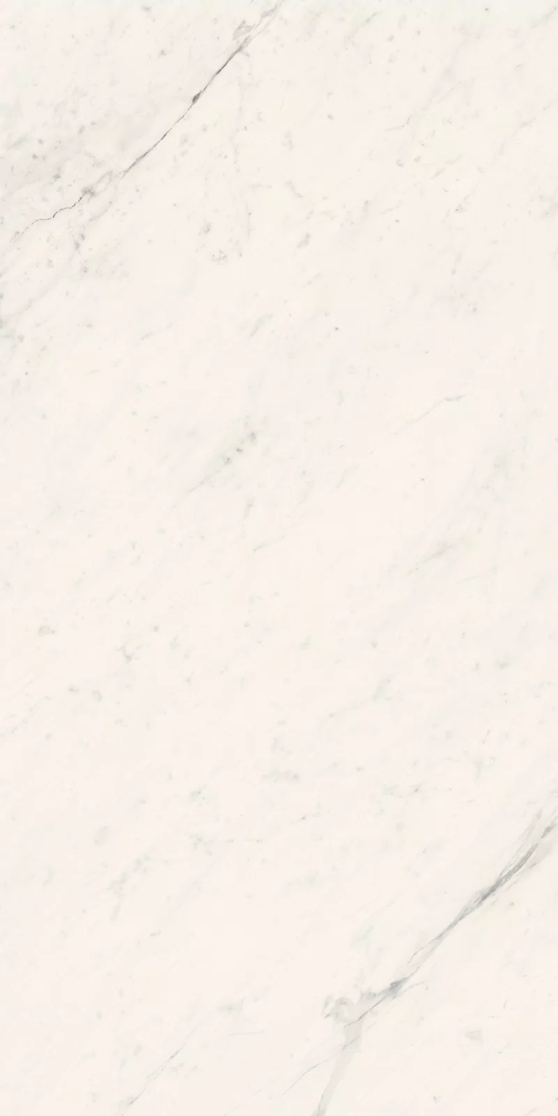 LA MARMOTECA_SAHARA WHITE_60X120_8