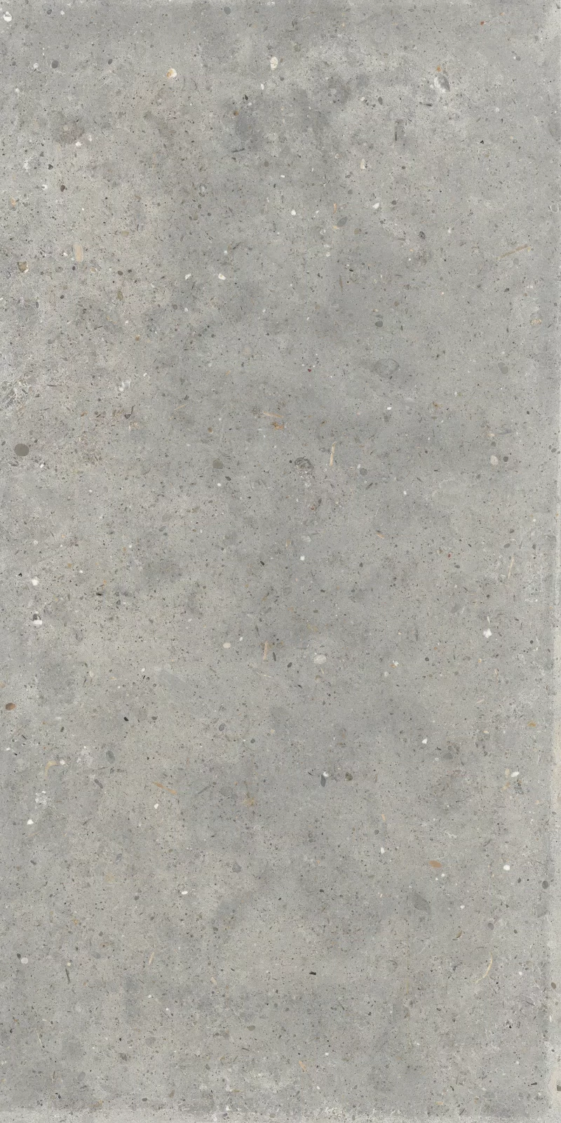 ANIMA GRIGIO 60X120_10