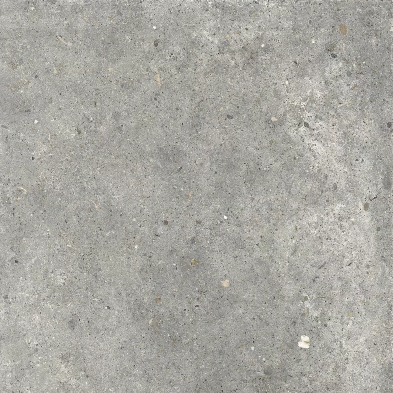 ANIMA GRIGIO 60X60_13