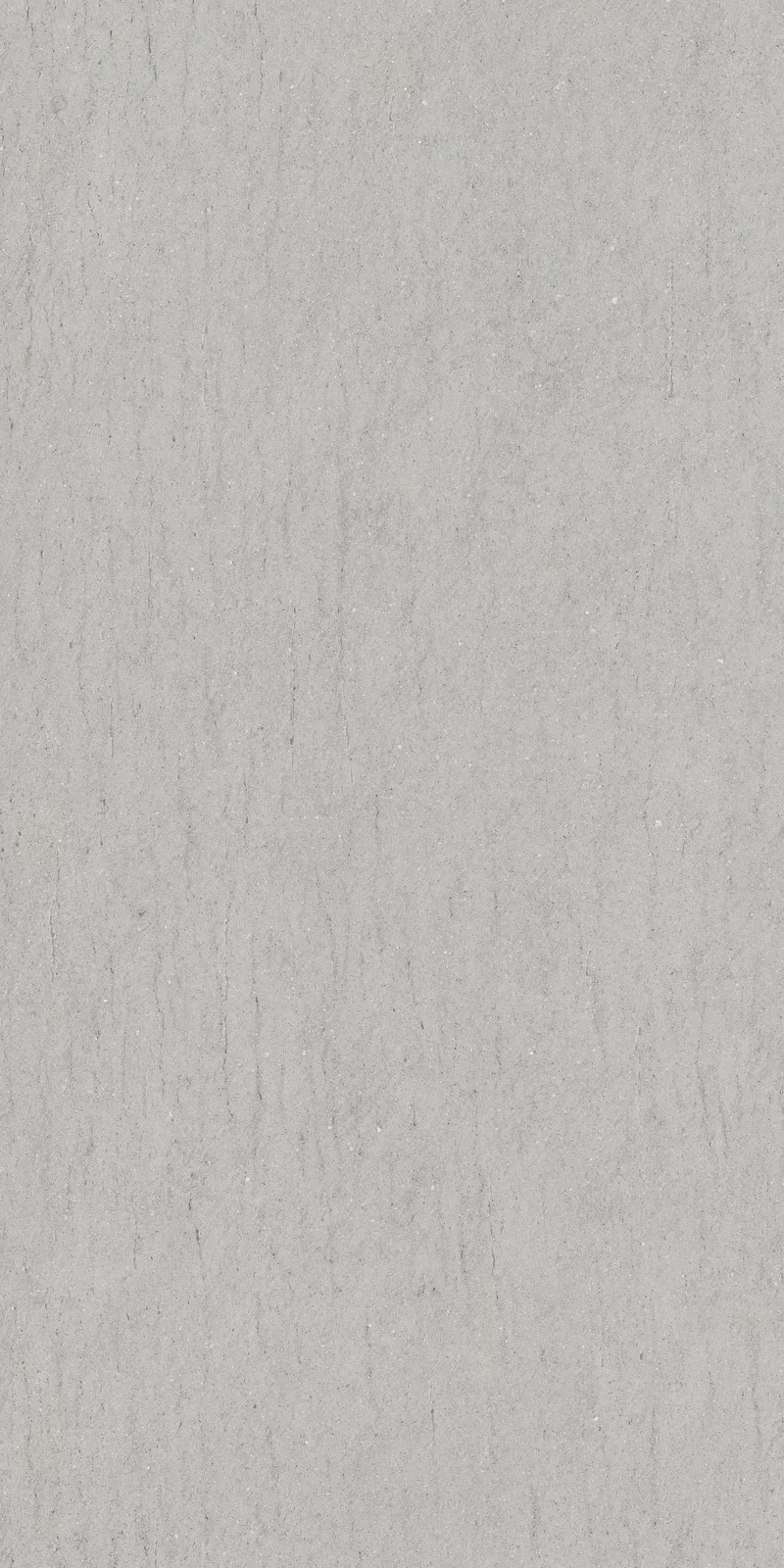 OUT.20 POETRY STONE RELOADED BASALTINA SILVER 60x120_03