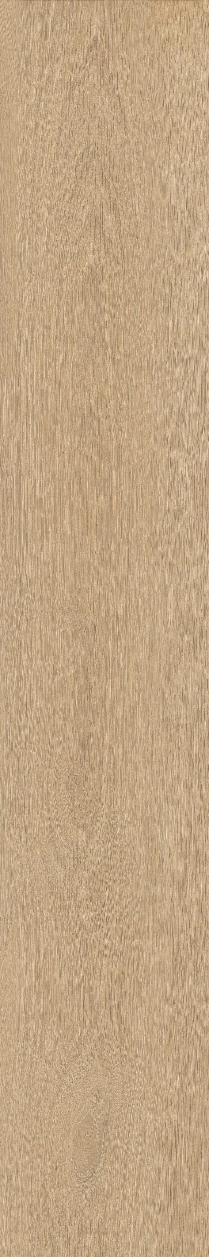 TABULAE REFINED MIELE 20X120_11
