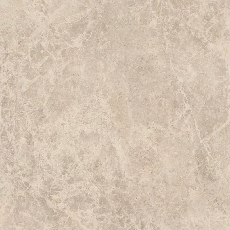 ERA DELICATE TAUPE 60X60_01