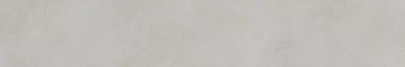 ALTEREGO ASH 20X120_03
