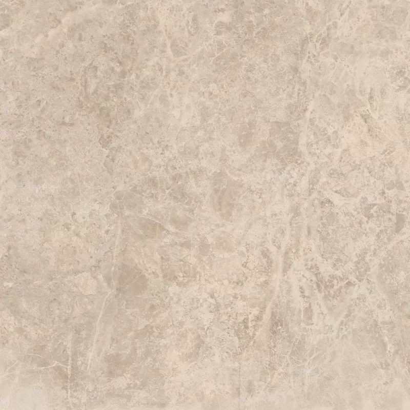 ERA DELICATE TAUPE 60X60_02
