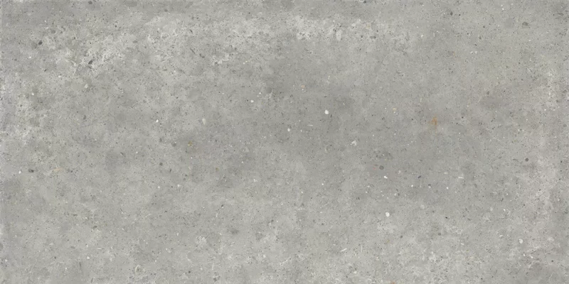 ANIMA GRIGIO 60X120_11