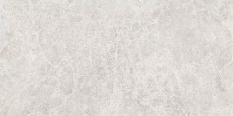 ERA DELICATE IVORY 60X120_04