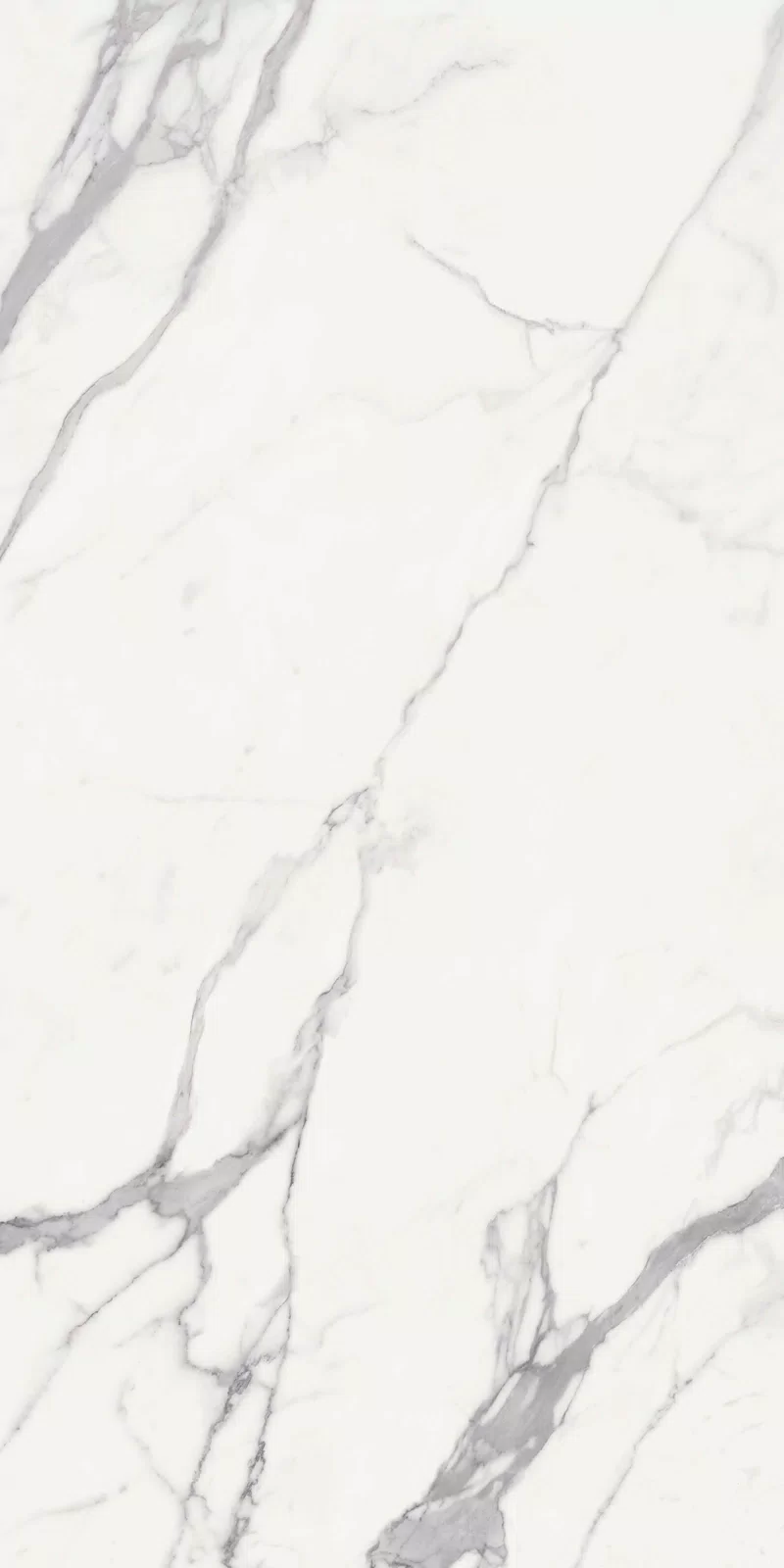 NOBILE STATUARIO 60X120_03