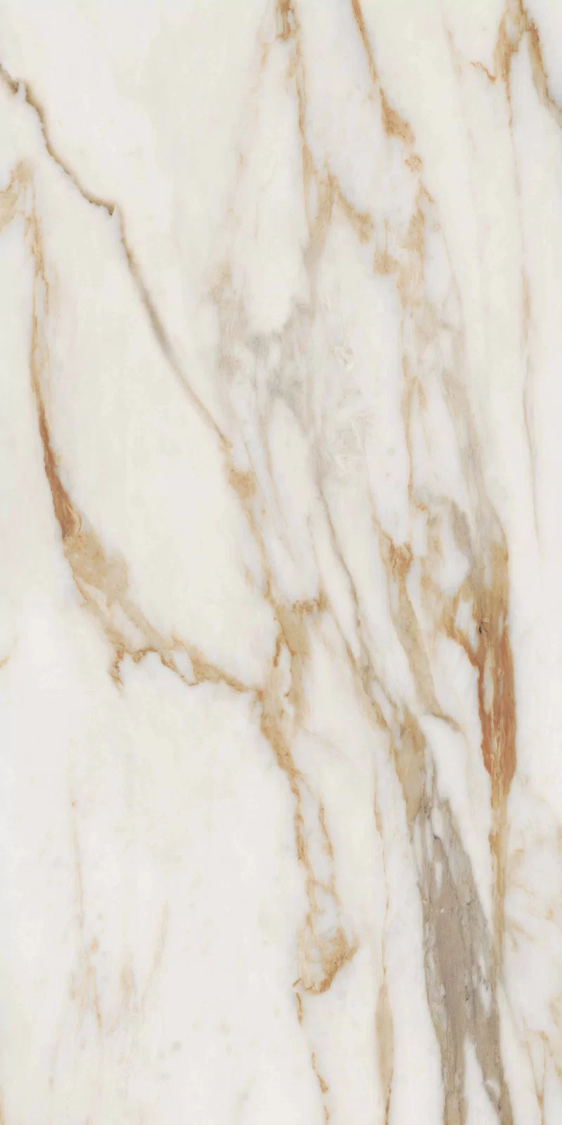 NOBILE CALACATTA 60X120_12