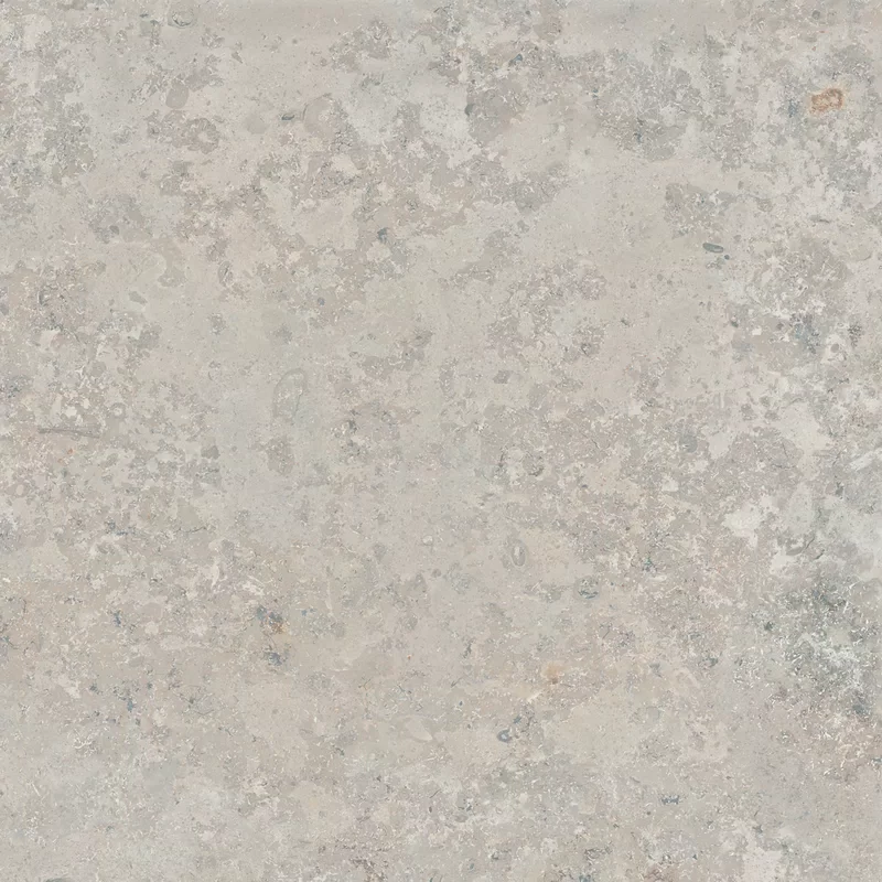 POETRY STONE RELOADED JURA ASH 60X60_11