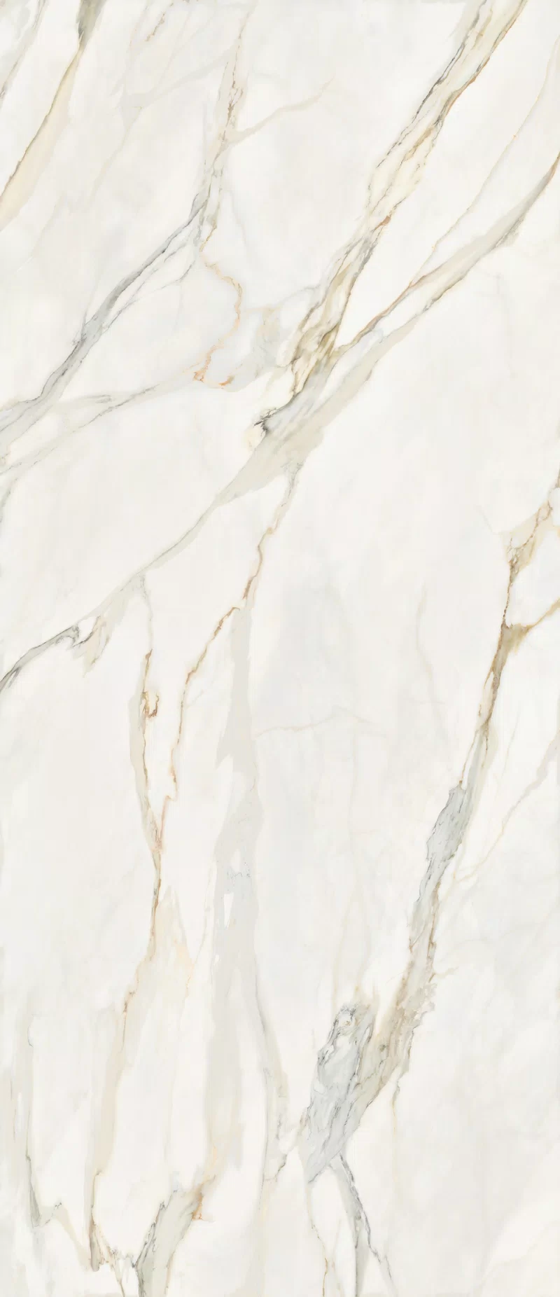 MARMOTECA_CALACATTA ELEGANCE_120X280_1