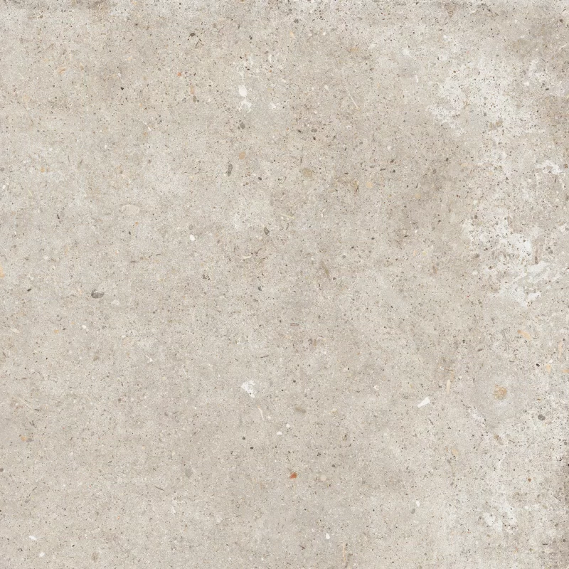 ANIMA BEIGE 60X60_12