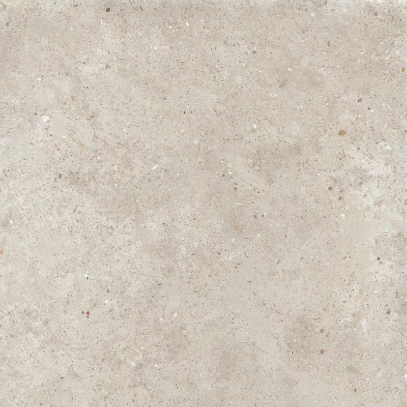 ANIMA BEIGE 60X60_05