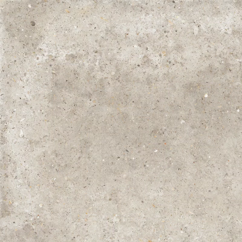 ANIMA BEIGE 60X60_03