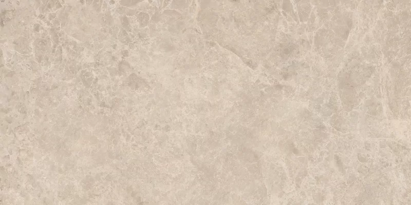 ERA DELICATE TAUPE 60X120_08