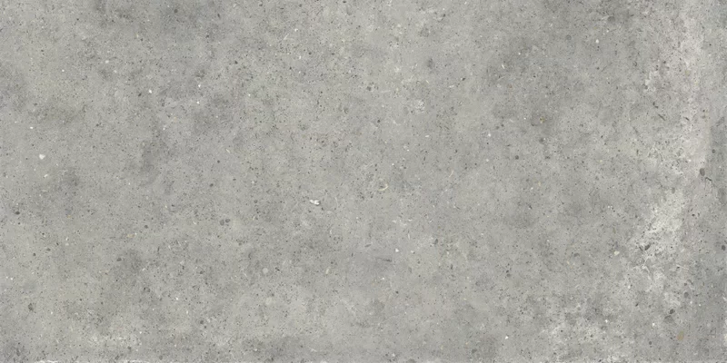 ANIMA GRIGIO 60X120_14