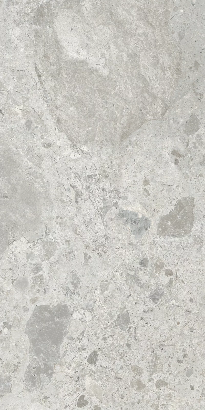 OUT.20 ERA BLOOMING ASH 60X120 _07