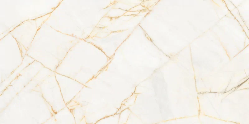 SUPREME HEDONISM GOLDEN SPIDER 60X120_08