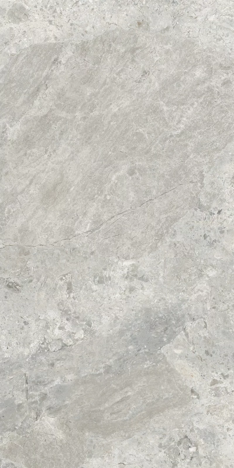 OUT.20 ERA BLOOMING ASH 60X120 _05