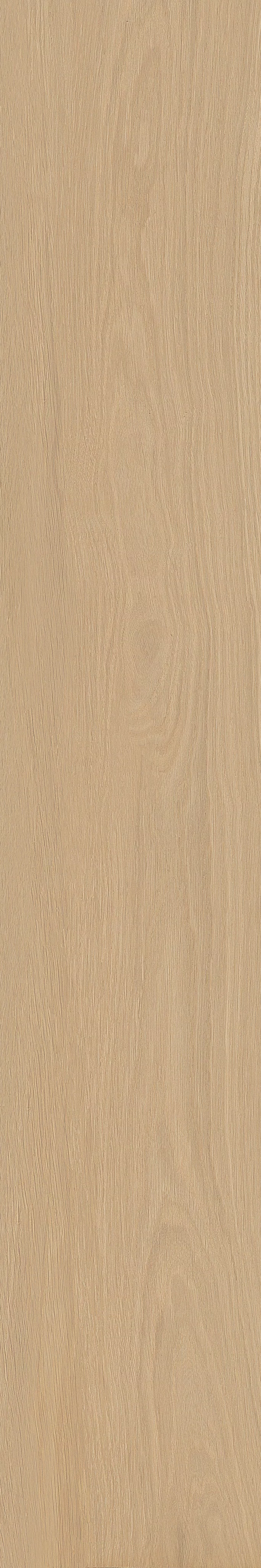 TABULAE REFINED MIELE 20X120_17