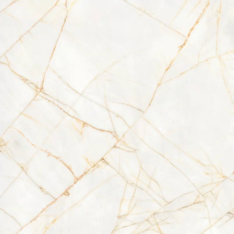 SUPREME HEDONISM GOLDEN SPIDER 120X120_02