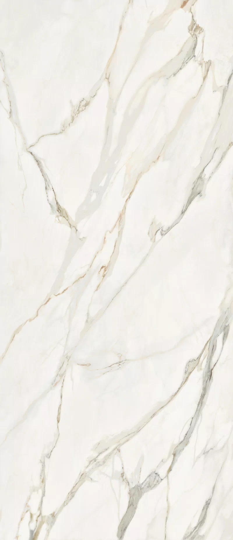 LA MARMOTECA_CALACATTA ELEGANCE_120X280_3