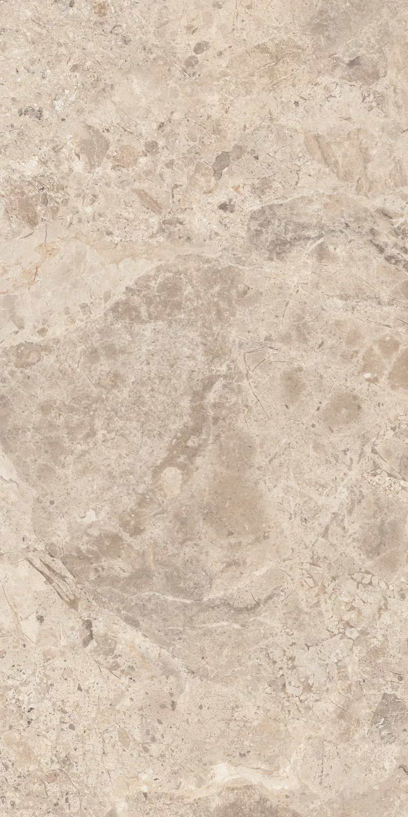 OUT.20 ERA BLOOMING TAUPE 60X120 _02