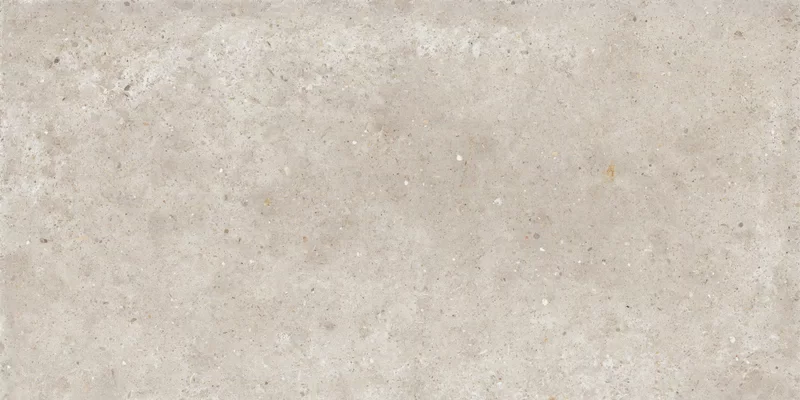ANIMA BEIGE 60X120_12