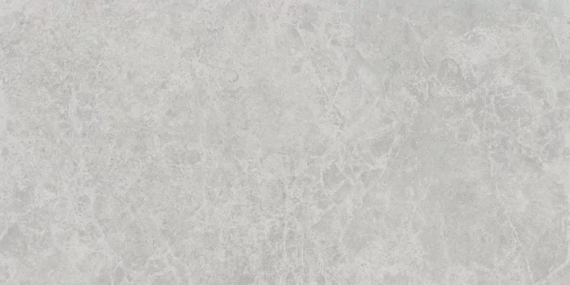 ERA DELICATE ASH 60X120_05