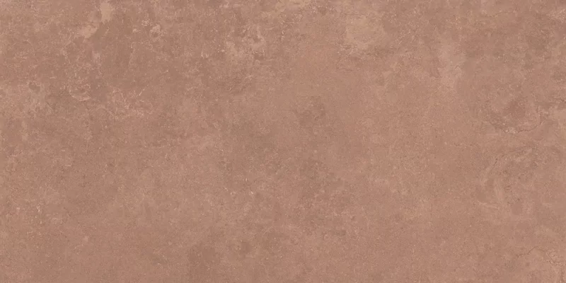 MIDI NATURE TERRE 60X120_02