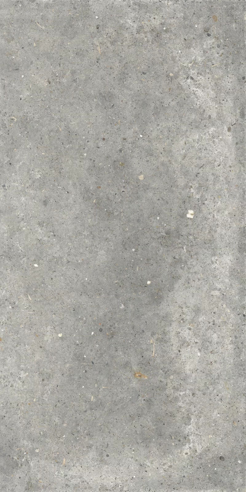 ANIMA GRIGIO 60X120_06