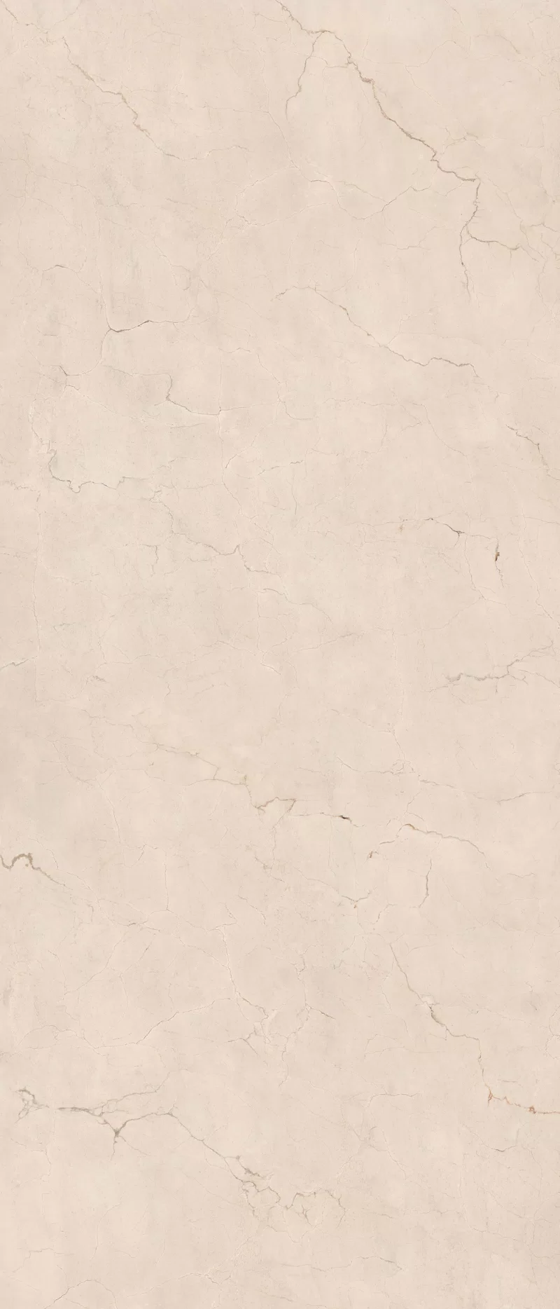 120X280 · Nat P.tech