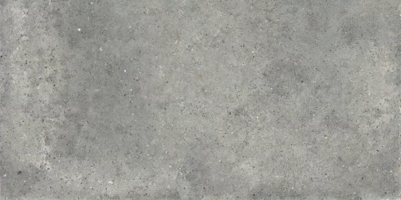 POETRY STONE PIRENEI GREY 60X120_12