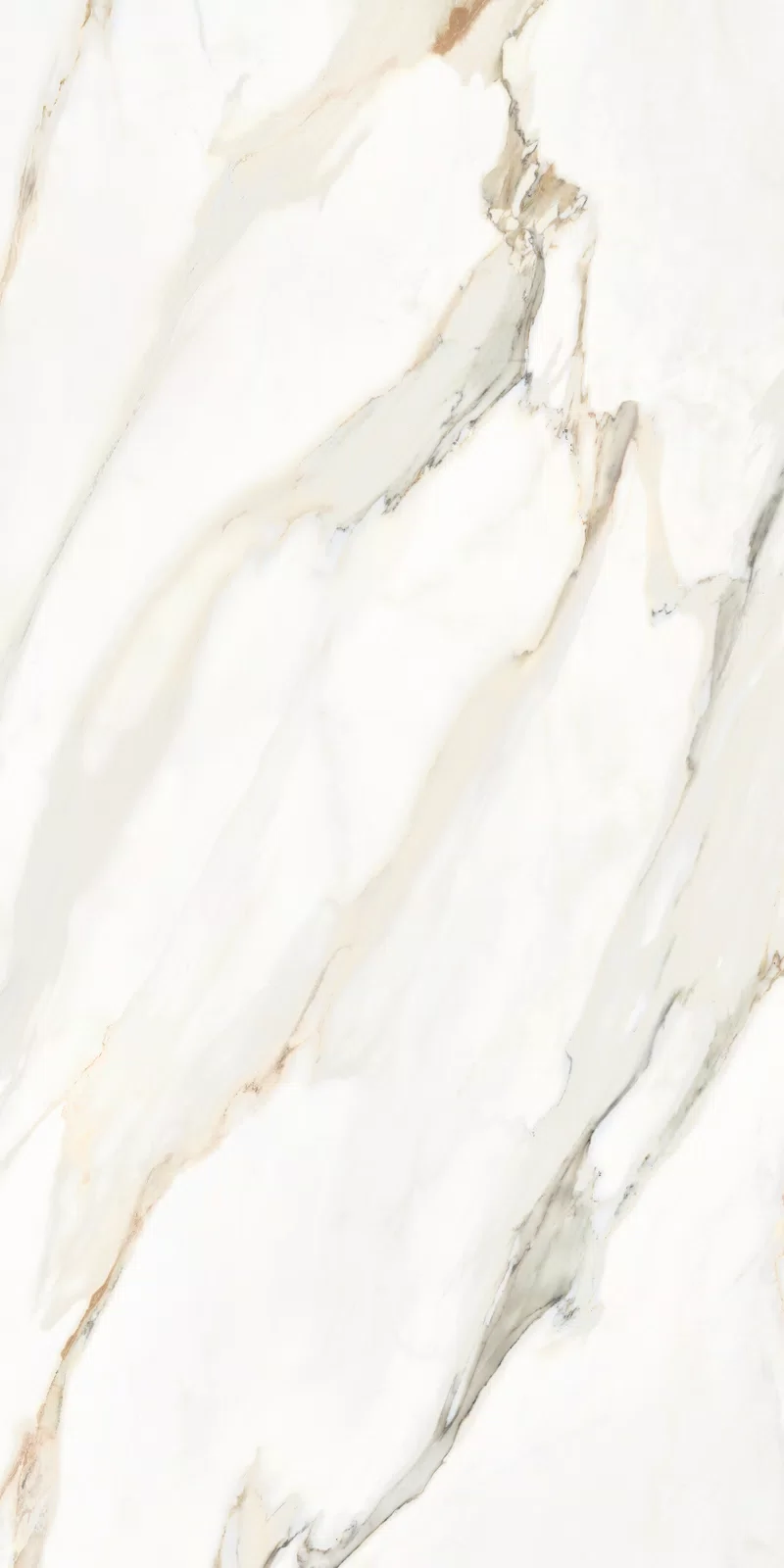 MARMOTECA_CALACATTA ELEGANCE_60X120_10