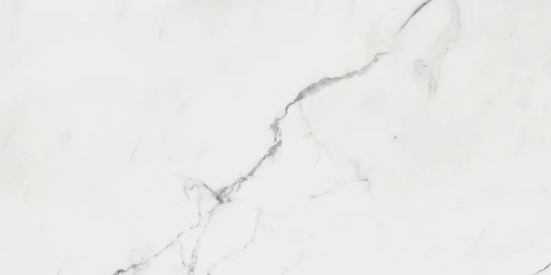 SUPREME EVO PURE STATUARIO 60X120_13