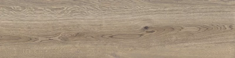 POETRY WOOD OAK 30X120_03