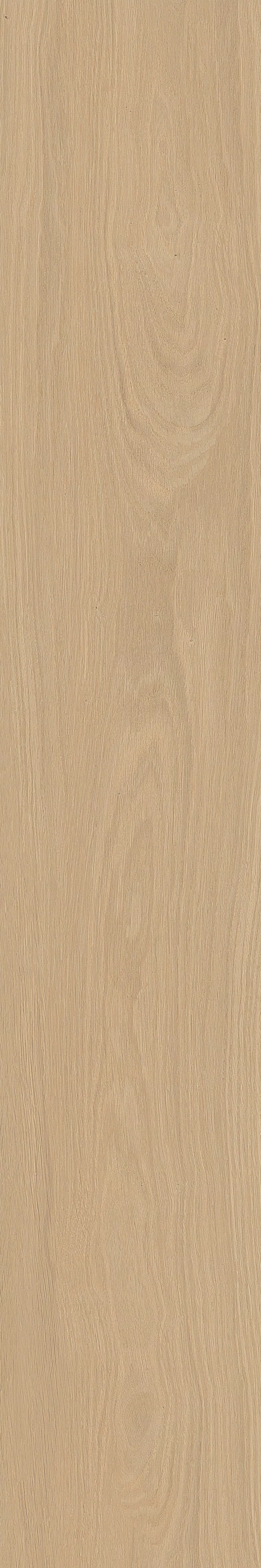 TABULAE REFINED MIELE 20X120_13