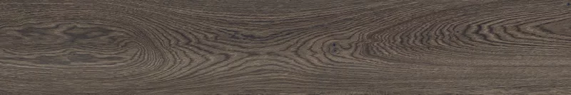 POETRY WOOD MUD 20X120_13