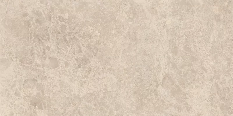 ERA DELICATE TAUPE 60X120_14