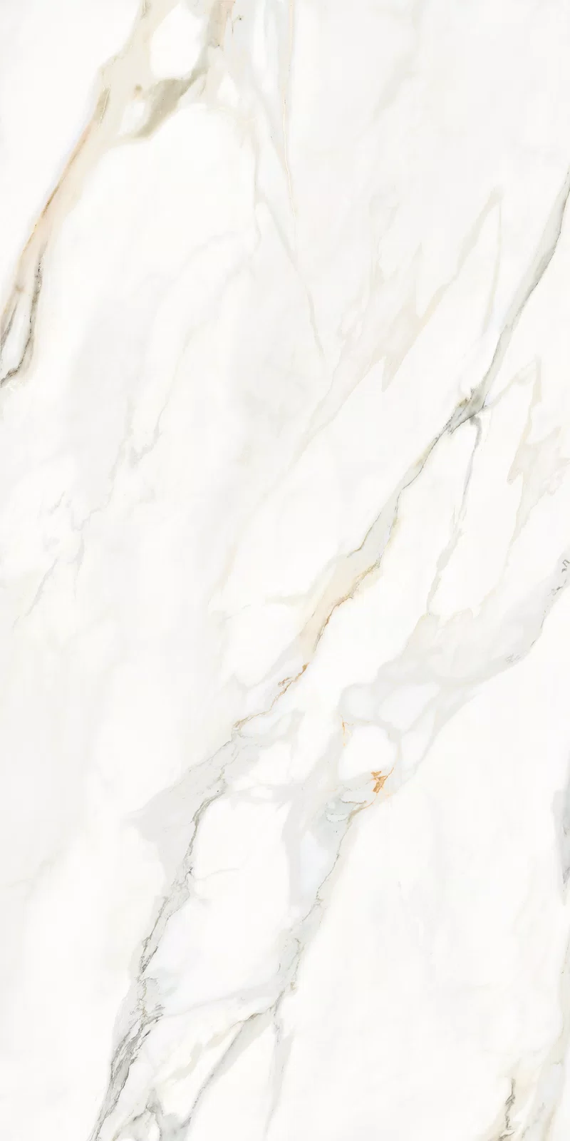 MARMOTECA_CALACATTA ELEGANCE_60X120_5