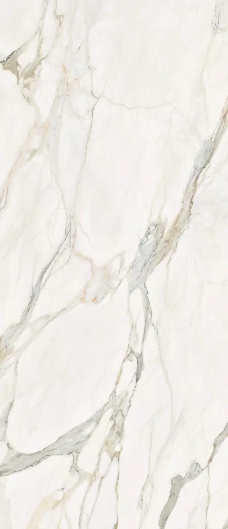 LA MARMOTECA_CALACATTA ELEGANCE_120X280_4