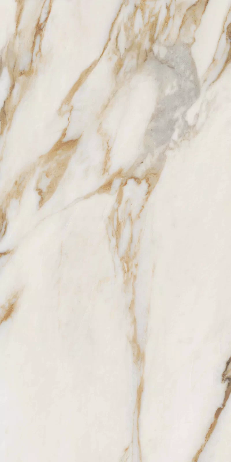 NOBILE CALACATTA 60X120_06