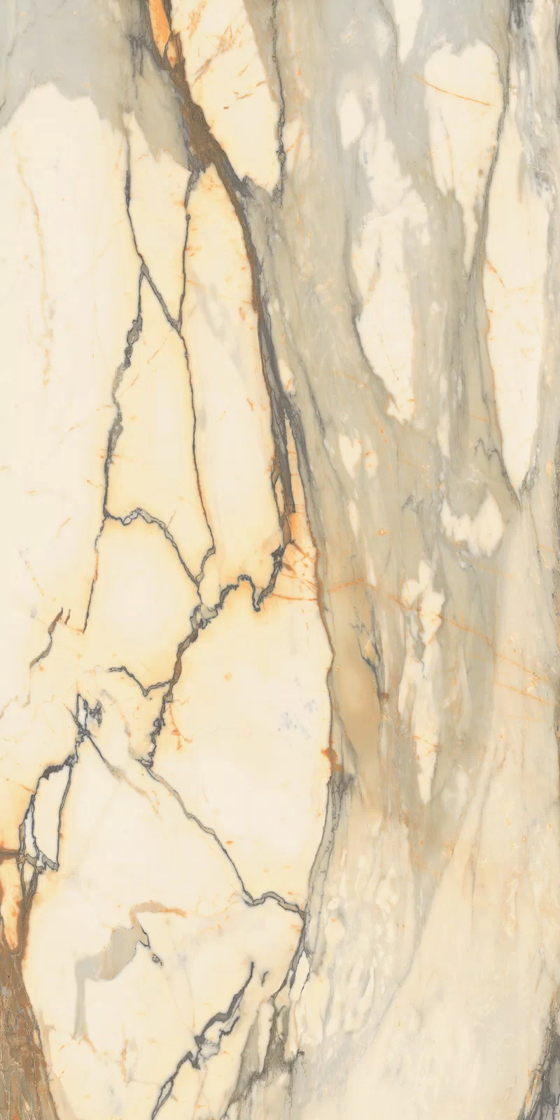 LA MARMOTECA_ANTIQUE BROWN_60x120_01