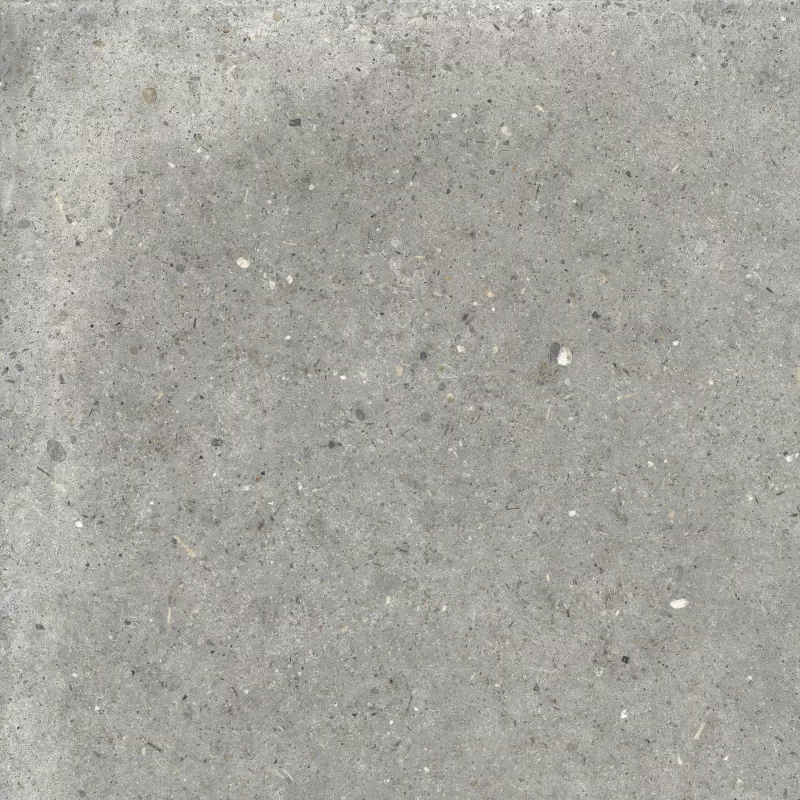 ANIMA GRIGIO 60X60_02