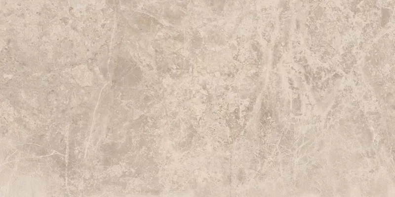 ERA DELICATE TAUPE 30X60_03